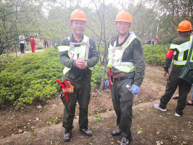 C:\Users\Administrator\Desktop\2019操作技能競賽\冠亞軍PS.jpg C:\Users\Administrator\Desktop\2019操作技能競賽\冠亞軍PS.jpg